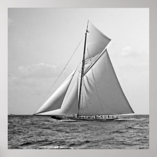 Shamrock II vid Yttre Mark 1901 BW Poster