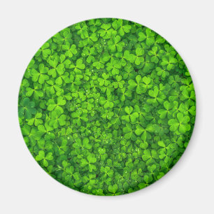 Shamrock Klöver Grönt Irish Symbol Ireland Irlan Magnet
