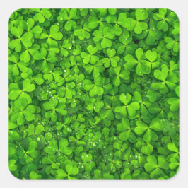 Shamrock Klöver Grönt Irish Symbol Ireland Irland Fyrkantigt Klistermärke