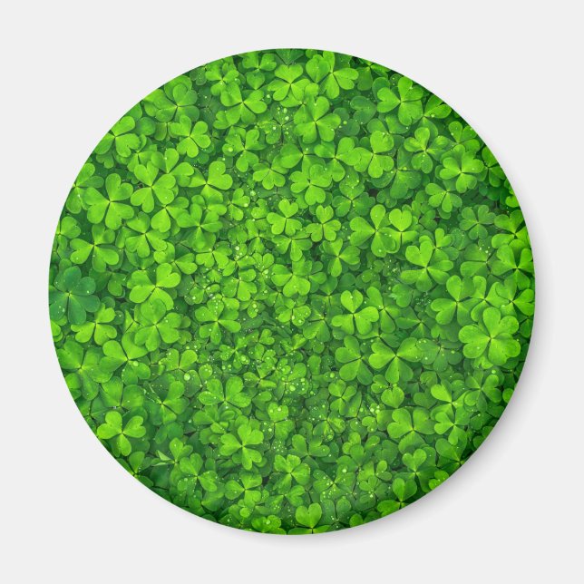 Shamrock Klöver Grönt Irish Symbol Ireland Irland Magnet (Framsidan)