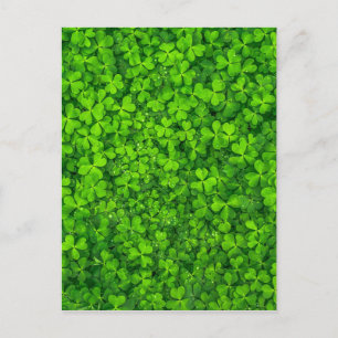 Shamrock Klöver Grönt Irish Symbol Ireland Irland Vykort