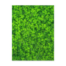 Shamrock Klöver Grönt Irish Symbol Ireland Irland