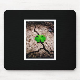 Shamrock Musmatta