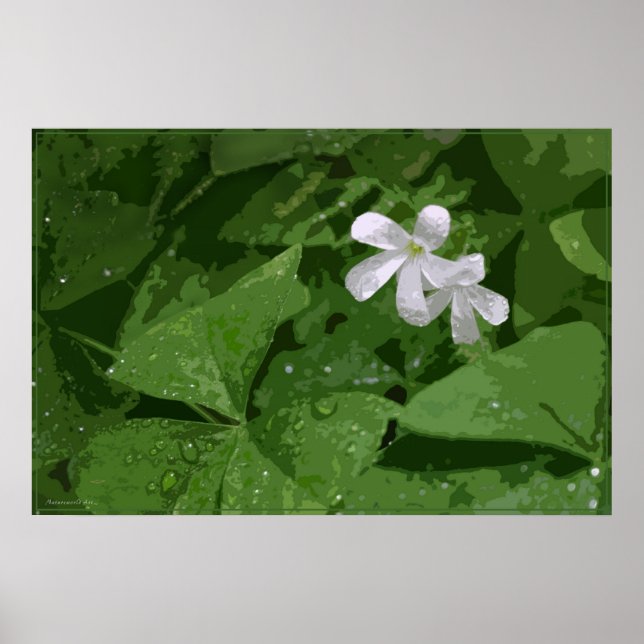 Shamrock Poster utan Text -36x24 - eller mindre (Framsidan)