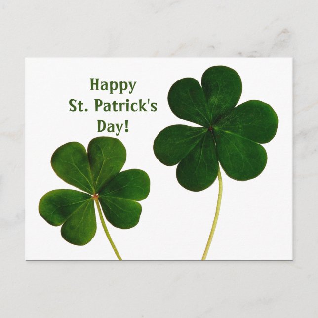 Shamrock St. Patrick-Day Postcard Vykort (Framsida)