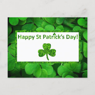Shamrock St patrick's day Helg Vykort