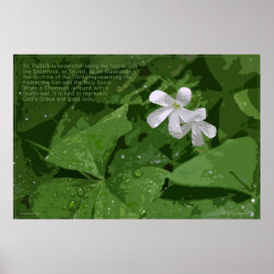 Shamrockaffisch med text -36x24 - eller mindre poster