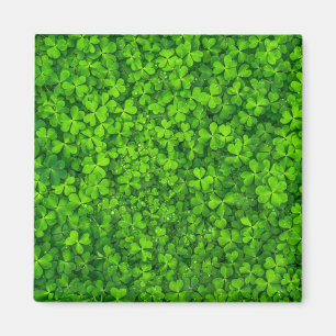 Shamrockgrönt, St. Patricks dag, Magnet