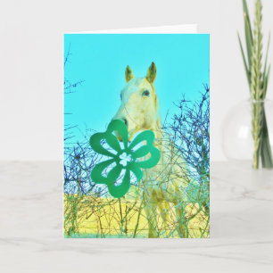 Shamrockhästhästar Kort
