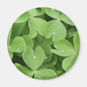 Shamrockklöverlöv Magnet