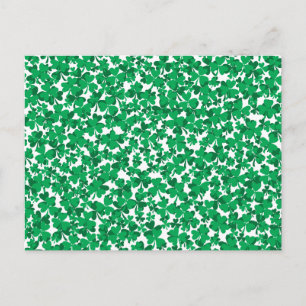 shamrocks, Irland, irländska, stolt över att vara Vykort