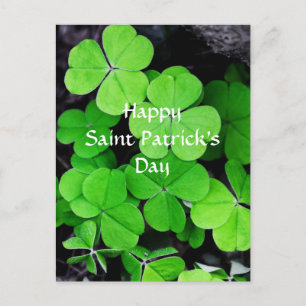 Shamrocks, Lycklig Saint patrick's day Vykort
