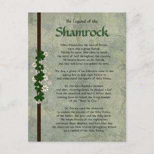 Shamrocks Vykort