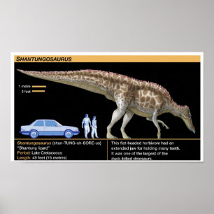 Shantungosaurus - Biologi Juraperioden Poster