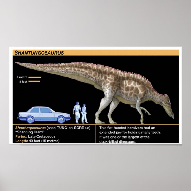 Shantungosaurus - Biologi Juraperioden Poster (Framsidan)