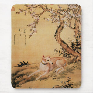 Shanxing Varg~(睒 星 狼)~Greyhound Giuseppe Castiglio Musmatta