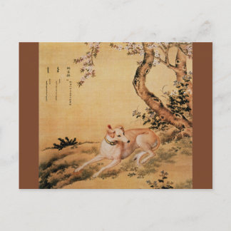 Shanxing Varg ~睒 狼~Greyhound ~Giuseppe Castiglione Vykort