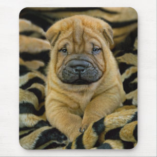 Shar-Pei 4 vecka gammal valp Mousepad Musmatta