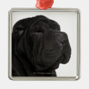 Shar Pei (årig 1) närbild Julgransprydnad Metall
