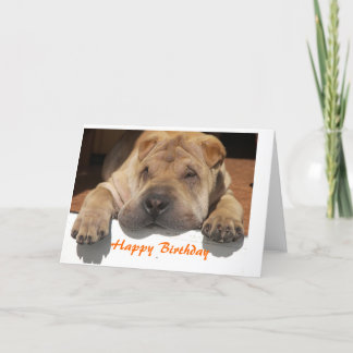 Shar Pei Birthday Kort