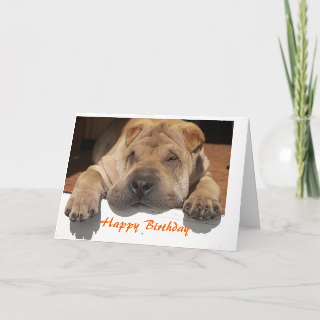 Shar Pei Birthday Kort (Framsida)