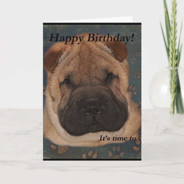 Shar Pei Birthday-Take Tassar Kort (Framsida)