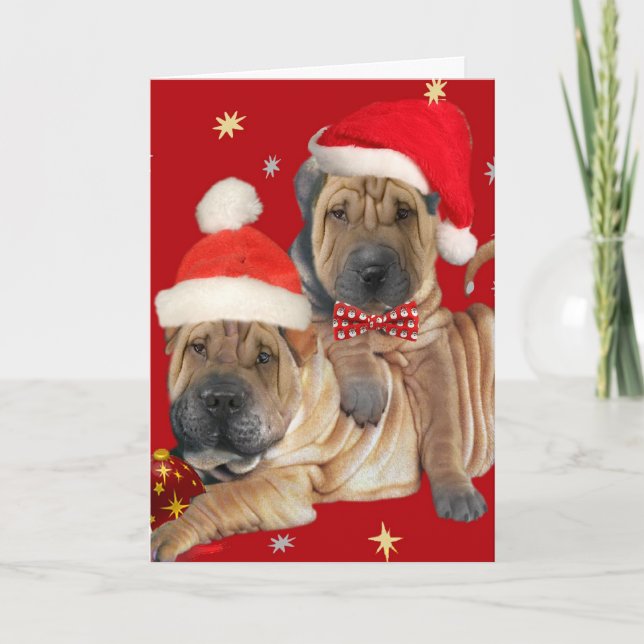 Shar-pei Brothers-julkort Helgkort (Framsida)