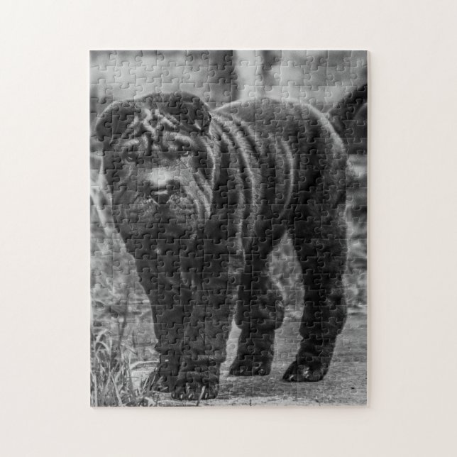 SHAR PEI CUTE HUND JIGSAW PUZZZLE PUSSEL (Vertikal)