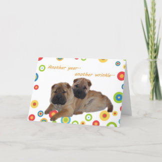 Shar Pei ett annat år äldre Kort