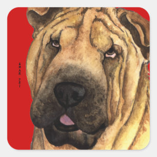 Shar-Pei färgkvarter Fyrkantigt Klistermärke