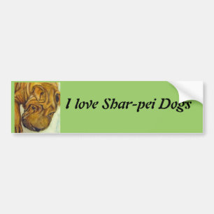 Shar-Pei förföljer bildekalet Bildekal