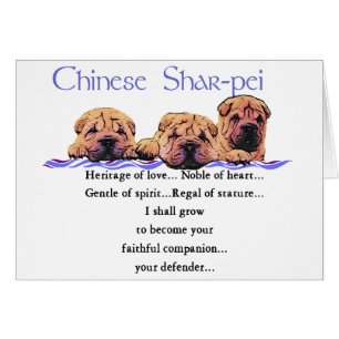 Shar-pei-gåvor från Kina Hälsningskort