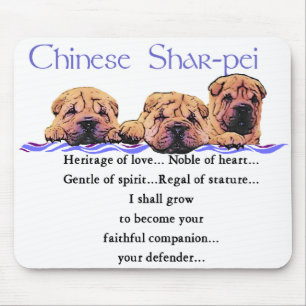 Shar-pei-gåvor från Kina Musmatta