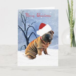 Shar-Pei god julkort - Shar-Pei i en Chri Helgkort