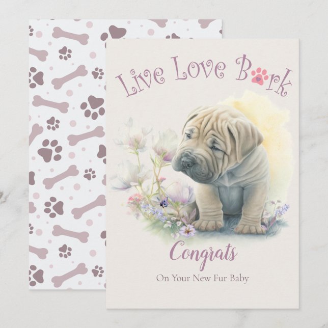 Shar-pei Hund Adoption, Gotcha Dag Kort (Fram/baksida)