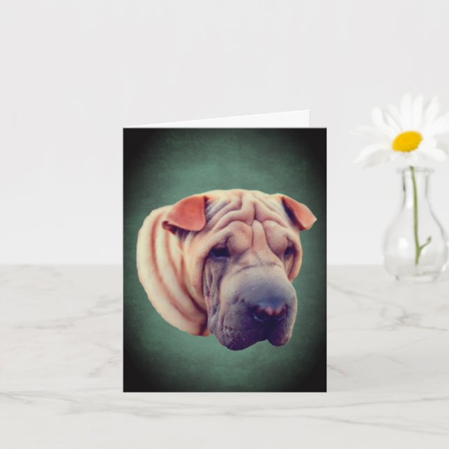 Shar Pei Hund Ansikts Notkort Kort (Liten växt)