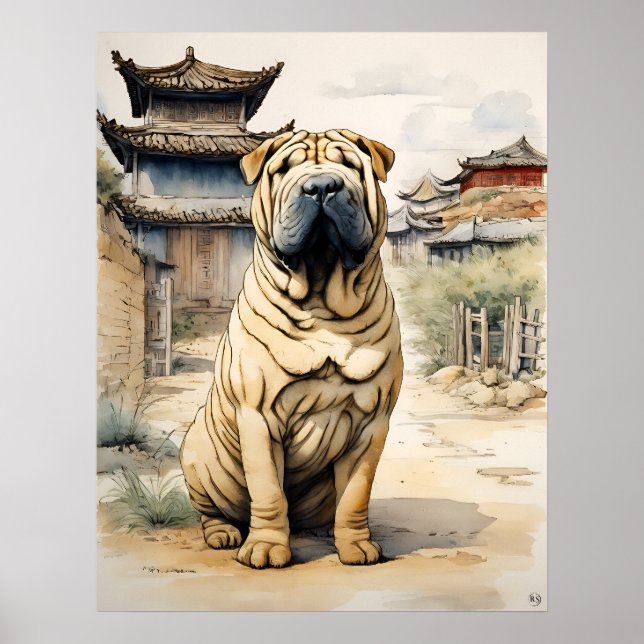 Shar Pei - Hund Art-utskrift Poster (Framsidan)