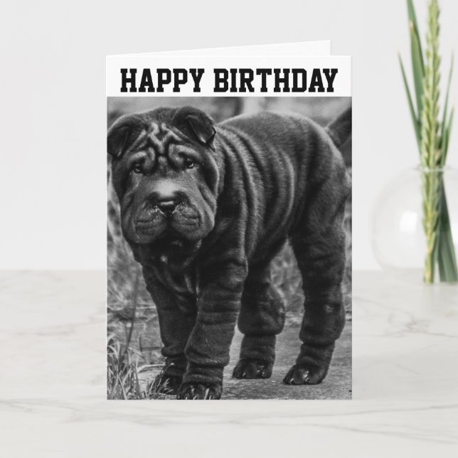 SHAR PEI HUND CUTE BIRTHDAY-KORT KORT (Framsida)