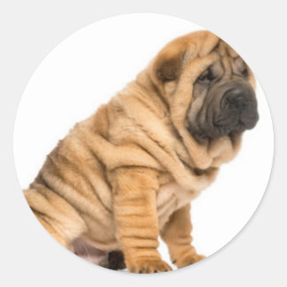 Shar pei Hund Runt Klistermärke