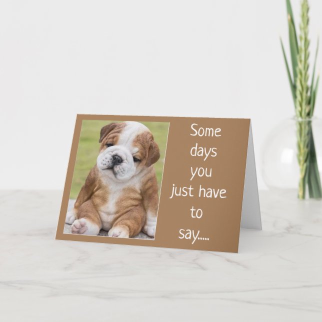 SHAR PEI IS A COMEDIAN FOR YOUR BIRTHDAY KORT (Framsida)