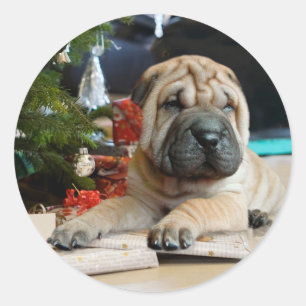 Shar Pei jul Runt Klistermärke