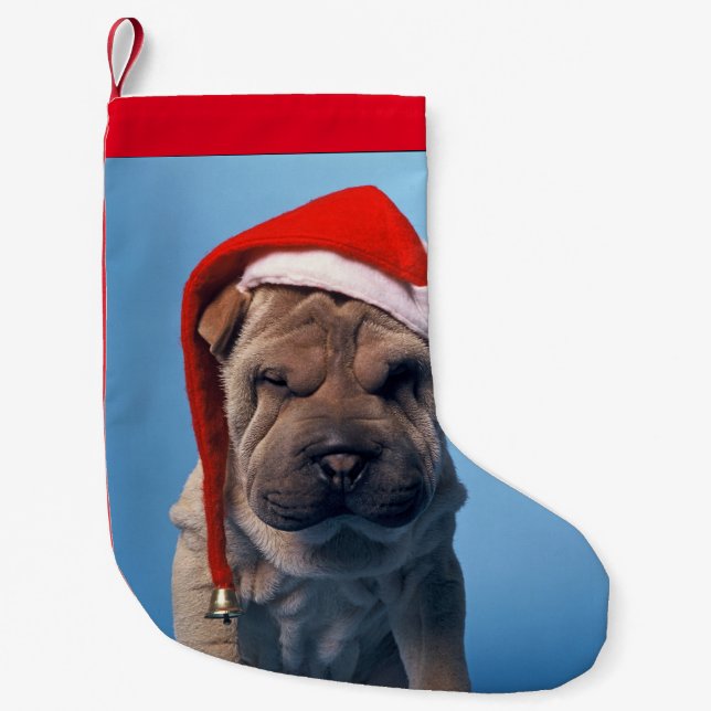 Shar pei med hatten x-mas liten julstrumpa (Framsidan)