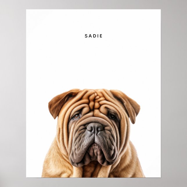 Shar Pei Personlig Print Poster (Framsidan)