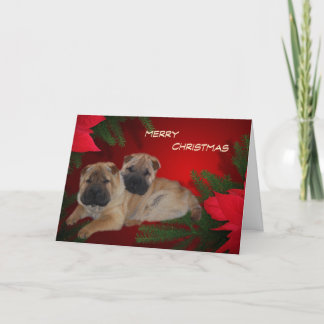 Shar Pei Puppies Poinsettia-kort Helgkort