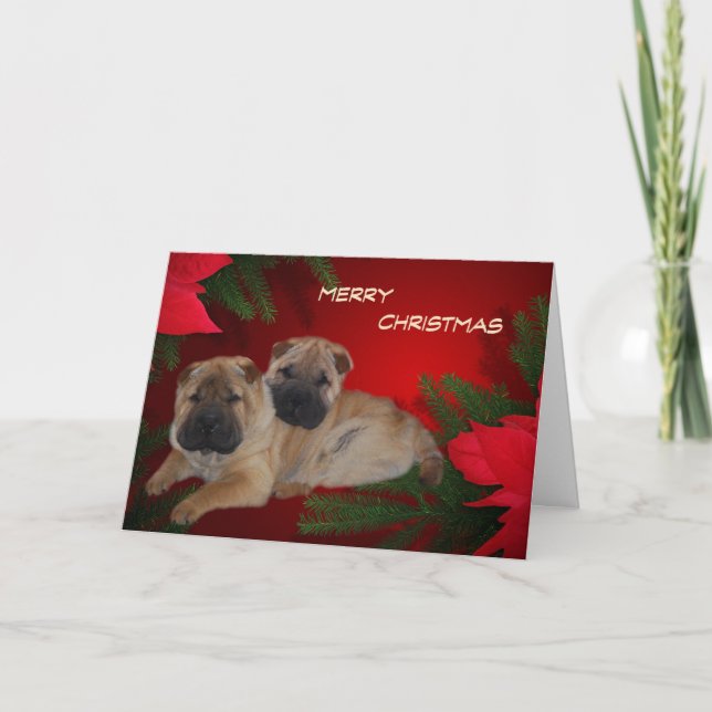 Shar Pei Puppies Poinsettia-kort Helgkort (Framsida)