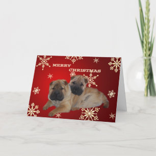 Shar Pei Puppies Snowflake-kort Helgkort