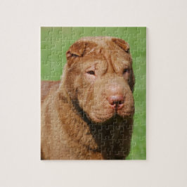 Shar Pei Pussel