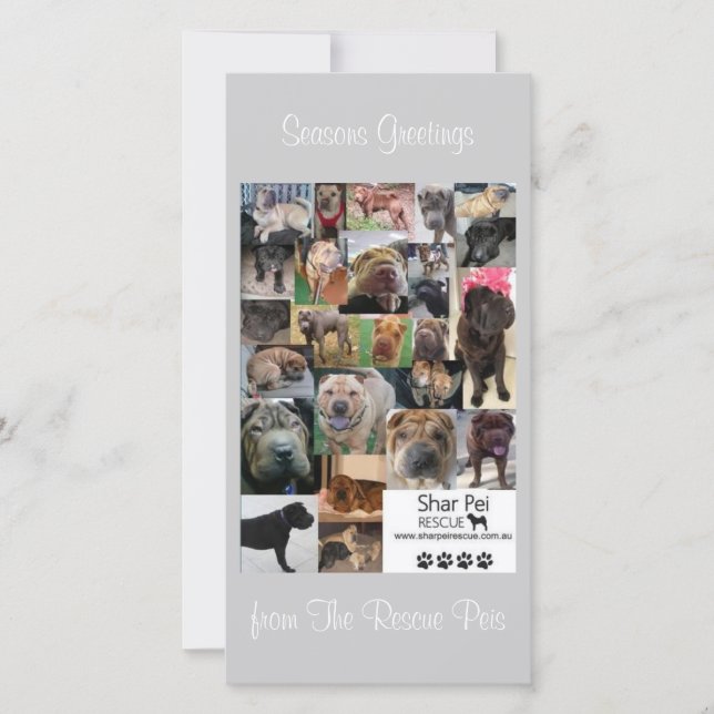 Shar Pei Rädding Julafton Card Julkort (Framsida)