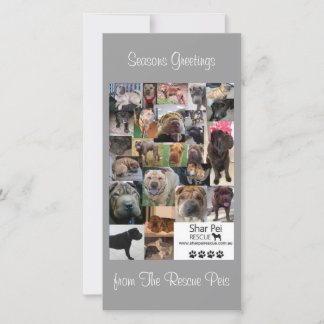 Shar Pei Rädding Julafton Card Julkort