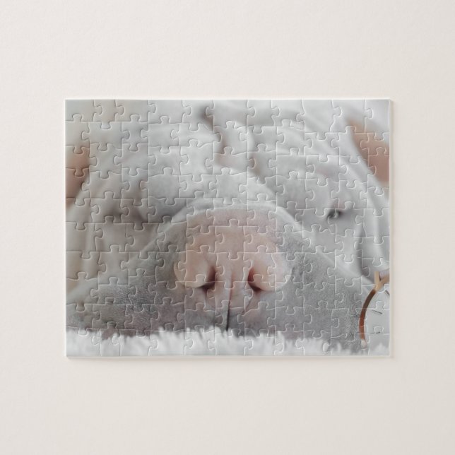 SHAR PEI SÖMNIG HUND CLOSEUP PUZZLE PUSSEL (Horisontell)